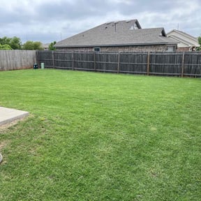 lawn care by Salone Lawn & Tree Service LLC. reviewed on August 21, 2025