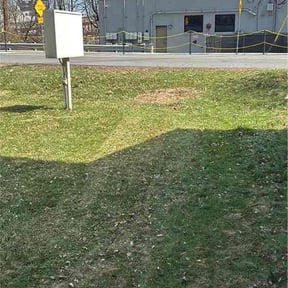 Leaf Removal by Mareana Lawncare LLC reviewed on April 16, 2026