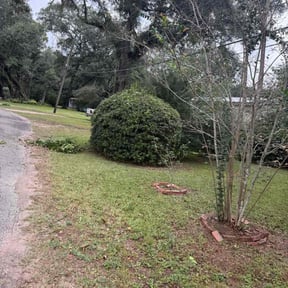 Flower Bed Weeding by SON SHINE LAWNS LLC reviewed on October 18, 2025