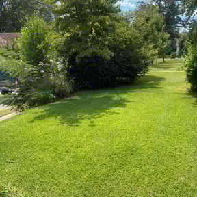 yard maintenance by Pastures reviewed on August 21, 2025