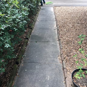 Bush Trimming by J&R Lawncare reviewed on August 21, 2025