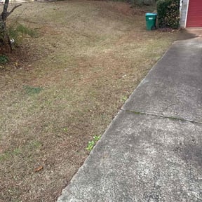Leaf Removal by Copperhead lawn care reviewed on August 20, 2026