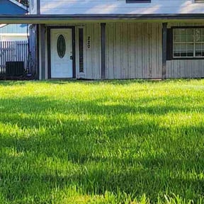 lawn care by WashWorldMobile reviewed on July 10, 2022