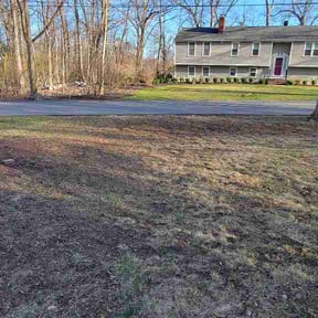Leaf Removal by Level Up Landscaping LLC reviewed on May 17, 2026