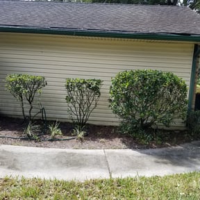 Bush Trimming by A+ Lamonds lawn&landscape reviewed on August 17, 2025