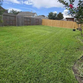 Long Grass Cleanup by Vite Handyman Services reviewed on August 16, 2025