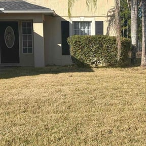 Bush Trimming by Cardinal Curb Appeal reviewed on November 22, 2025