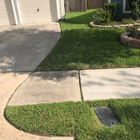 turf care by Adara Lawn & Pool reviewed on August 16, 2025