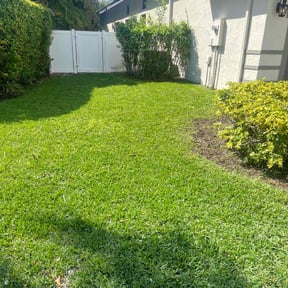 landscape maintenance by Caribbean clean detailing reviewed on May 17, 2025