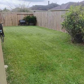 grass cutting by Anointed Services reviewed on October 15, 2023