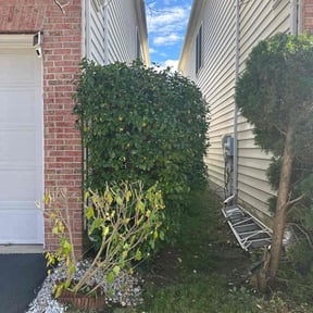 Bush Trimming by Discount Mowing reviewed on November 20, 2025