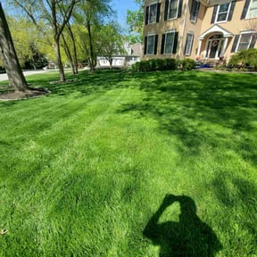 grass maintenance by Martin LLC reviewed on June 12, 2025