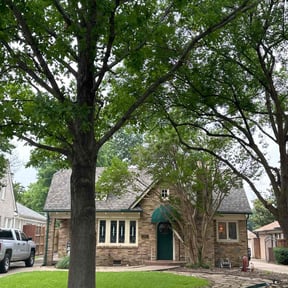 Lawn Mowing by Perry Family Maintenance LLC reviewed on August 18, 2025