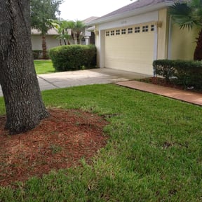 Bush Trimming by YardGoat Mowing reviewed on August 19, 2025