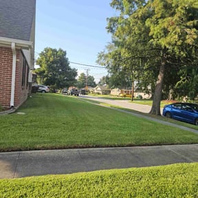 yard care by Early Risers Lawncare Service reviewed on August 19, 2025