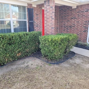 Bush Trimming by Sunny Carolina lawncare services llc reviewed on August 20, 2025
