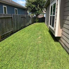 landscape maintenance by José Resendiz reviewed on August 19, 2025