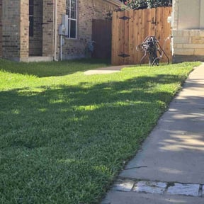 grass maintenance by Yard Bandit Lawn Services reviewed on August 9, 2023