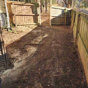 Leaf Removal by Alexis perez reviewed on September 16, 2025