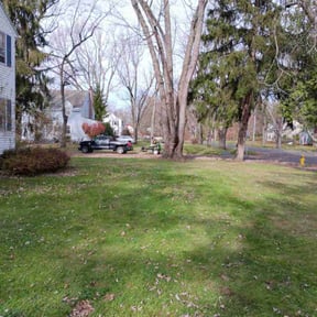 Leaf Removal by Fresh cut and clean reviewed on September 6, 2025