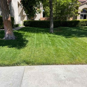 lawn care services by Hugo Lopez Landscaping reviewed on November 23, 2024