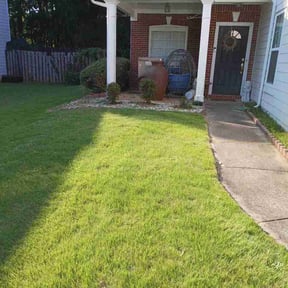 Bush Trimming by Candanoza Lawn Service reviewed on August 2, 2026