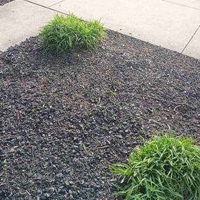 Flower Bed Weeding by H&amp;M Lawncare and Cleaning Services llc reviewed on April 23, 2026