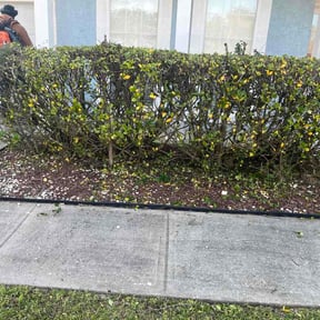 Bush Trimming by Kurral's Lawn Care reviewed on March 24, 2026