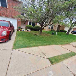 grass maintenance by Ray lawn care reviewed on May 21, 2024