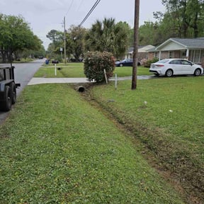 Bush Trimming by Native Sun Lawn Service LLC reviewed on August 18, 2025