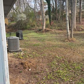 Leaf Removal by Francisco amaya reviewed on November 20, 2025