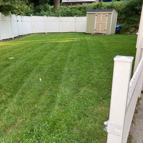 grass maintenance by Pena lawn service reviewed on May 5, 2024