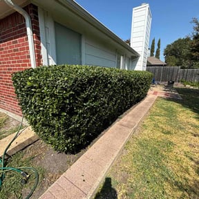 Bush Trimming by Emerson mowing reviewed on August 19, 2025