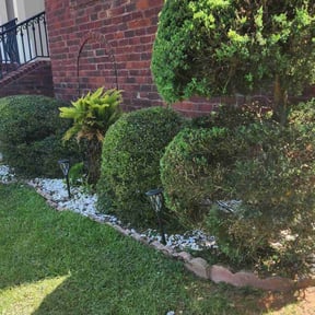 Bush Trimming by Three E's Lawn Care LLC. reviewed on August 20, 2025