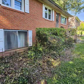 Bush Trimming by Yard Worx Lawn Service reviewed on August 14, 2025