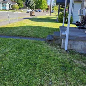 turf maintenance by Guzarc Lawn Services LLC reviewed on August 5, 2023