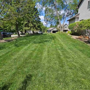 yard care by Da Munchez/ High 5 landscaping reviewed on November 23, 2025