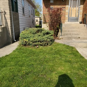Bush Trimming by Cornerstone Properties and Rentals reviewed on August 19, 2025