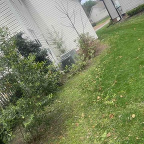 Flower Bed Weeding by Make your lawn great again reviewed on April 10, 2026