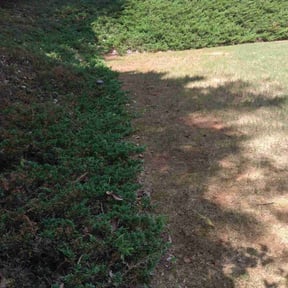 Flower Bed Weeding by Fuse Outdoor Lighting and Landscape reviewed on August 16, 2025