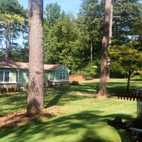 residential landscaping by Above and Beyond Services LLC. reviewed on August 20, 2025