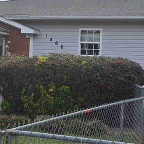 Bush Trimming by A-class Lawn Service reviewed on October 24, 2025