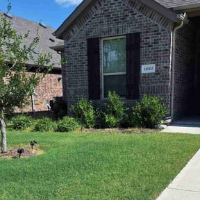 landscaping services by Gio Landscaping reviewed on November 24, 2025