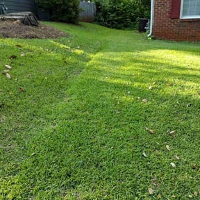 landscaping by Frederickson Lawn Management reviewed on August 17, 2025
