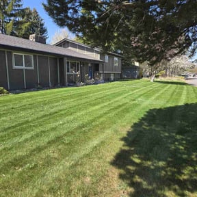 grass cutting by Zdc Pool Company reviewed on March 3, 2024