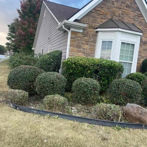 Bush Trimming by Blades &amp; Bloom Lawn Care LLC reviewed on November 10, 2025