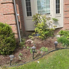Flower Bed Weeding by Parker N Sons reviewed on May 12, 2026