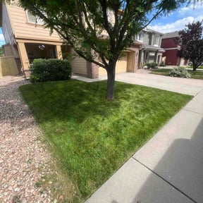 yard work by Grass Care By the Beach reviewed on August 21, 2025