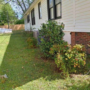 Bush Trimming by Los Hombre Landscaping reviewed on April 14, 2026