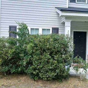 Bush Trimming by Countryside lawn and garden reviewed on October 20, 2025